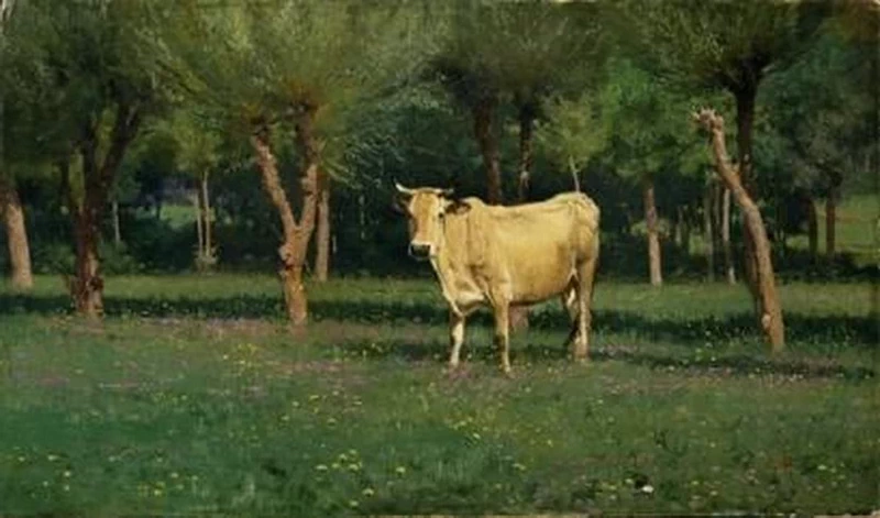 In cerca delle compagne